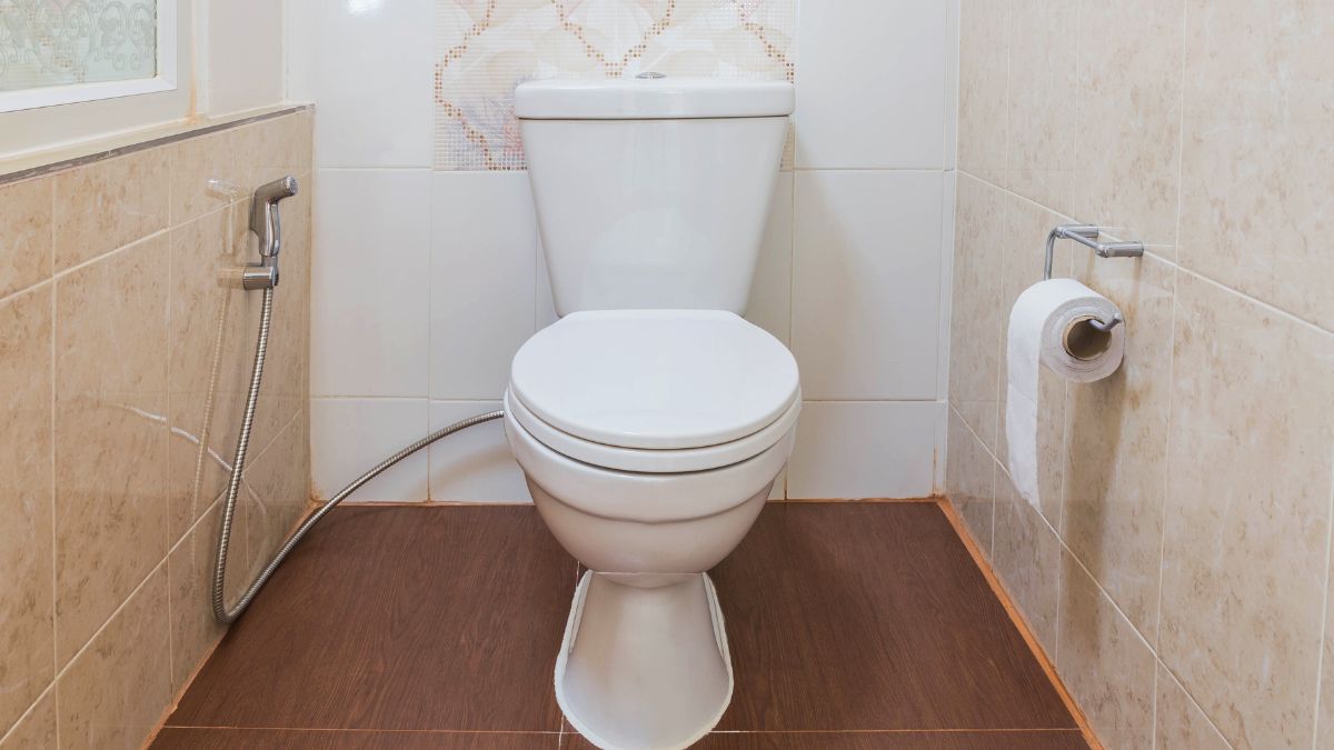 assento sanitario almofadado
